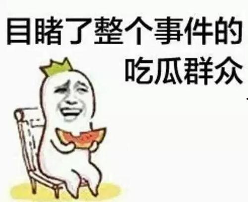 娱乐圈吃瓜沙雕动画,沙雕动画中的吃瓜盛宴，笑料百出！