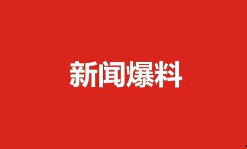 肇东电视台新闻爆料,聚焦当地热点事件
