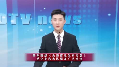 肇东电视台新闻爆料,聚焦当地热点事件