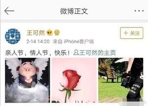 杨洋热巴独家爆料视频在线观看,揭秘幕后精彩瞬间