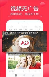娱乐吃瓜芋泥视频下载安装,芋泥视频下载安装攻略