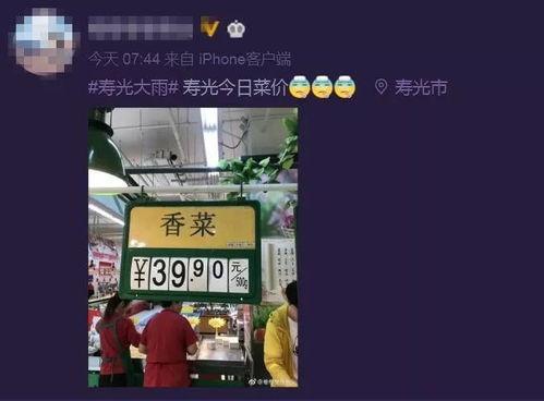 今日菜价爆料新闻直播,菜价波动背后的真相