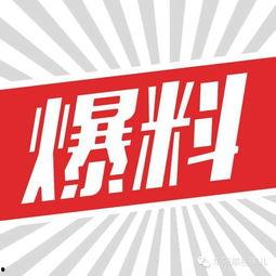 百色头条最新爆料,揭秘重大事件背后惊人真相！”