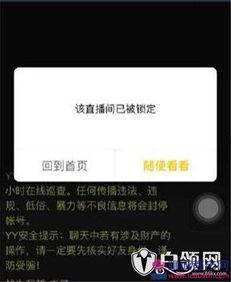 卡哥最新爆料视频大全,揭秘热点事件背后的真相