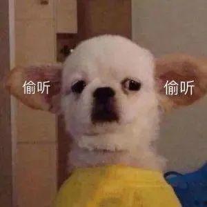 在线吃瓜沙雕视频免费观看,在线视频带你笑翻天