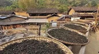 郑州保合寨最新爆料,揭秘神秘事件背后的真相