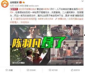 导演爆料陈少熙视频播放,揭秘网络热议背后的故事