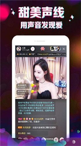 鹿家门直播爆料视频大全,揭秘幕后真相与精彩瞬间