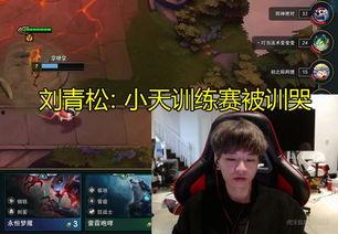 刘青松爆料教练视频播放,教练视频曝光，揭秘足球训练幕后真相
