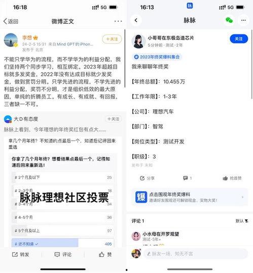理想员工爆料视频大全集,视频大全集深度解析