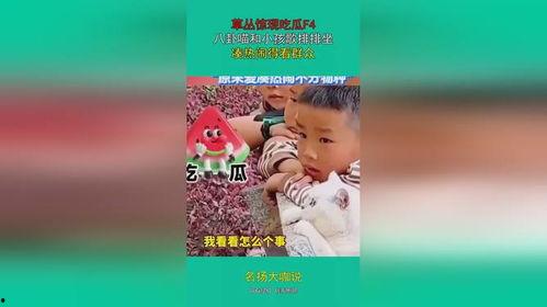 吃瓜的宝贝全集免费播放,揭秘娱乐圈背后的秘密与真相