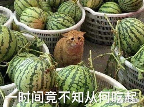 三个瓜最新爆料,揭秘三个瓜最新爆料背后的惊人真相