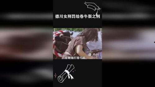 德川刑法在线观看,揭秘日本封建时代的刑罚与法律体系