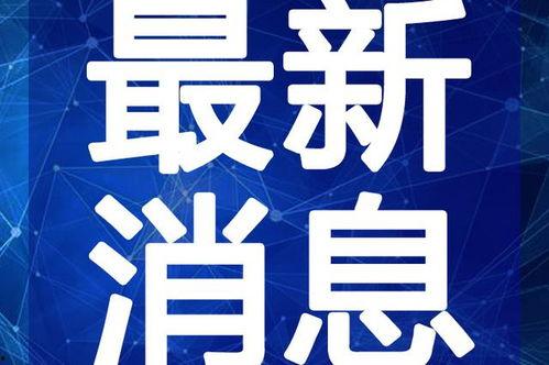 三宝爸最新爆料视频,视频内容深度解析