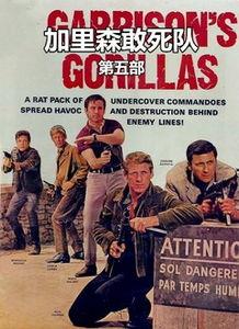 在线观看加里森敢死队,加里森敢死队热血归来