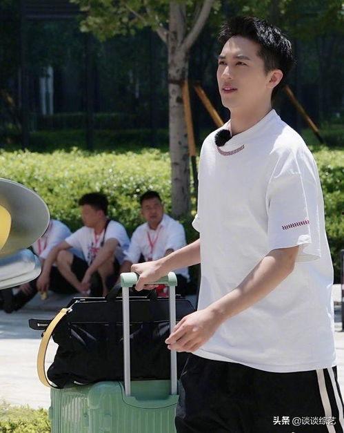 娱乐吃瓜博肖,揭秘娱乐圈背后的那些事儿