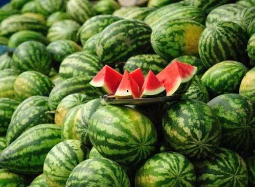 网红吃瓜群聚集地,网络社交新现象的聚集地