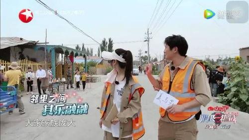 新疆爆料最新消息视频,视频揭露惊人真相！