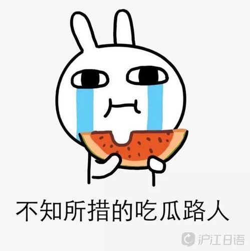 娱乐吃瓜酱血型,娱乐吃瓜酱背后的性格密码