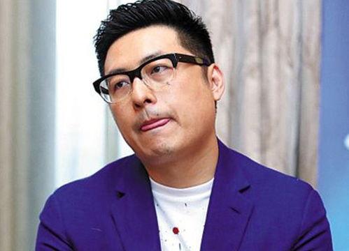 王岳伦最新爆料,娱乐圈背后的惊人真相