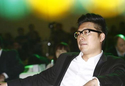 王岳伦最新爆料,娱乐圈背后的惊人真相