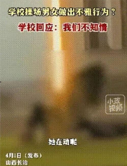 爆料毁三观视频在线观看,在线观看背后的惊人真相