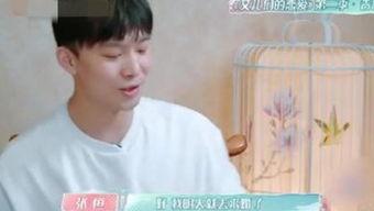 娱乐圈爆料小妖精,小妖精的神秘面纱揭晓