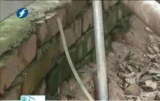 屠宰最新爆料新闻视频,屠宰场内幕惊人，视频揭露行业黑幕