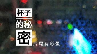 锦州饭店爆料视频大全集,揭秘幕后真相与精彩瞬间