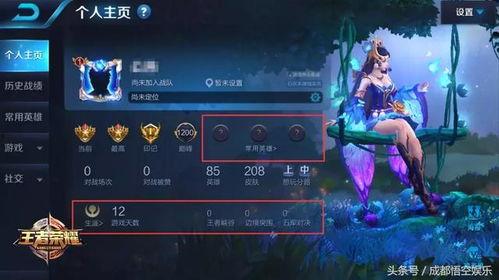 王者爆料消息最新在哪看,揭秘最新资讯获取途径