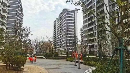 温岭一小区爆料案件最新,真相渐浮水面，警方全力调查