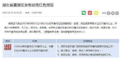 武汉新闻投稿爆料怎么投,揭秘城市热点事件背后的真相