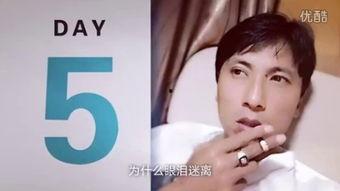 龙之吻国语在线观看,浪漫奇幻之旅，在线观看开启奇幻之旅