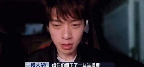 明星坐牢大爆料短视频,大爆料短视频背后的惊人真相