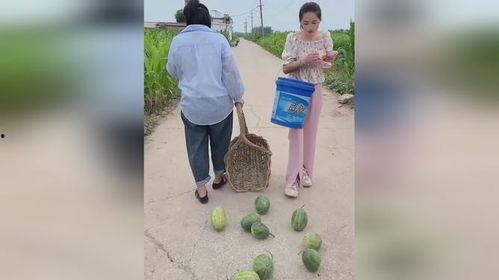 吃瓜不免费的群,揭秘网络社交圈中的付费围观现象