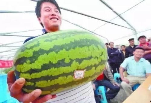 吃瓜不免费的群,揭秘网络社交圈中的付费围观现象