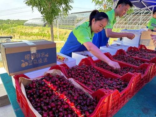 宁波生鲜快递最新爆料,揭秘行业变革背后的秘密