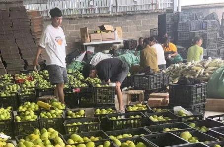 宁波生鲜快递最新爆料,揭秘行业变革背后的秘密