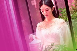 谢娜护士爆料视频大全集,揭秘幕后的真实故事