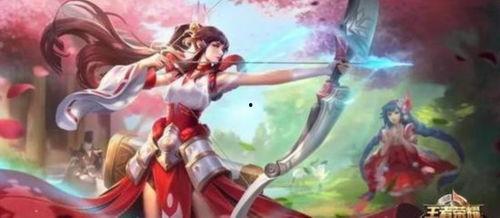 伽罗新皮肤最新爆料,神秘元素与东方美学完美融合