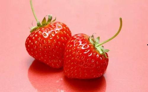 草莓皮肤爆料视频大全最新,揭秘最新游戏角色魅力瞬间