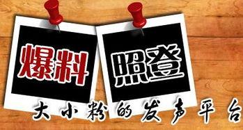 慧星最新爆料新闻,最新爆料新闻背后的惊人真相