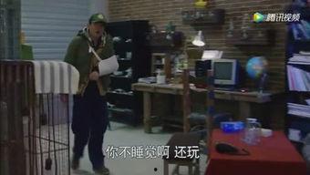 娱乐吃瓜蜀黍大学生,大学生活中的趣味点滴