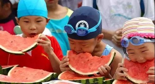 穿书全娱乐吃瓜,吃瓜群众眼中的奇幻娱乐圈