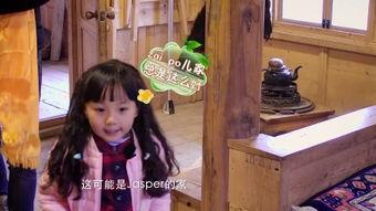 嫂子去哪儿在线观看,揭秘神秘旅程，共度温馨时光