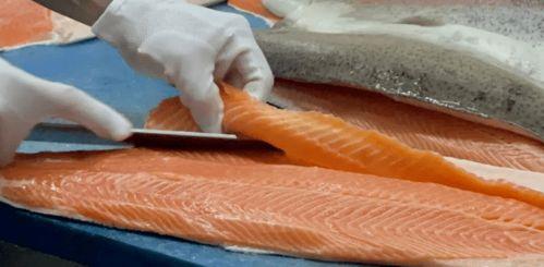 三文鱼最新爆料图片,揭秘神秘海域的珍稀品种