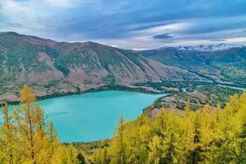 喀纳斯景区爆料事件最新,揭秘神秘事件背后的真相