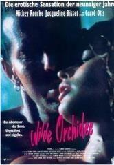 野兰花2电影在线观看,秘境寻踪，爱恨交织的生死之旅