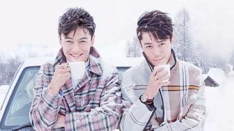 娱乐圈内部爆料磕cp,明星甜蜜互动背后的真实CP故事