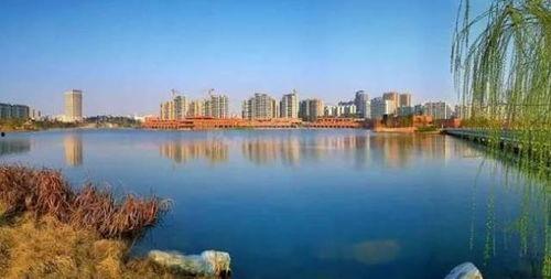 娱乐吃瓜酱胶州,吃瓜酱带你揭秘胶州娱乐圈幕后故事